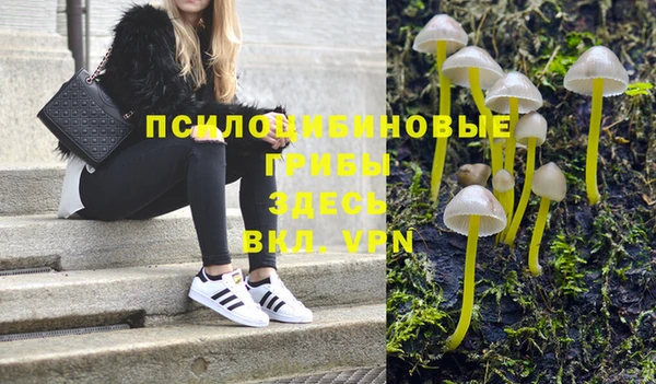 дживик Михайлов