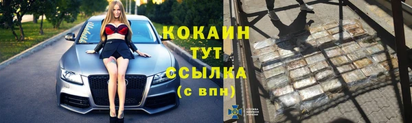 дживик Михайлов