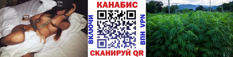 Купить где  Егорьевск  Канабис AK-47 